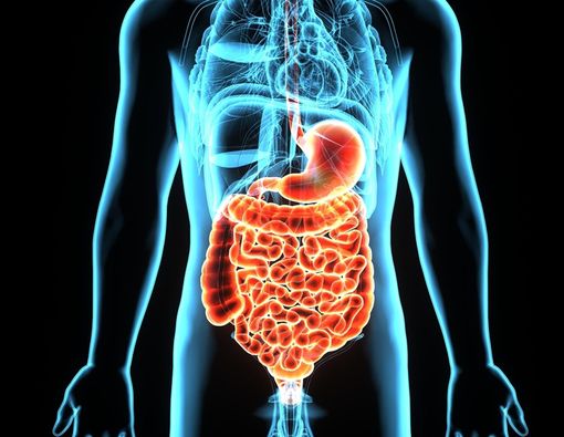 5 Cara Perbaiki Kesehatan Pencernaan Anda