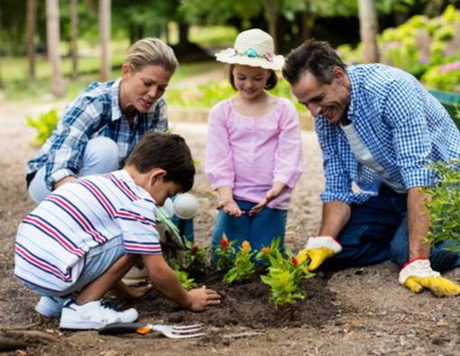 Hobi Berkebun? Ini 5 Manfaat Sehat yang Tidak Anda Sangka