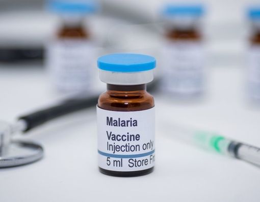 Mengenal Mosquirix, Vaksin Malaria Pertama di Dunia