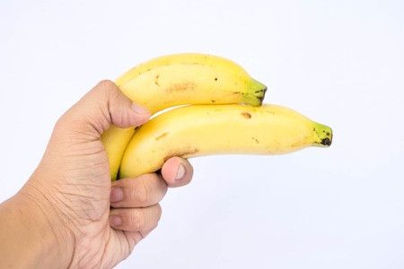 Diphallia: Kelainan Pada Pria Memiliki Dua Penis