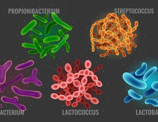 Kenali Bakteri Baik Penjaga Usus Si Kecil