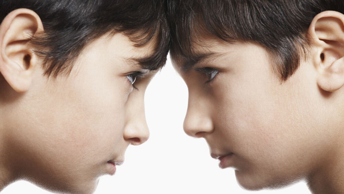 Sibling Rivalry, Ketika Antar Saudara Kandung Jadi Kompetitif