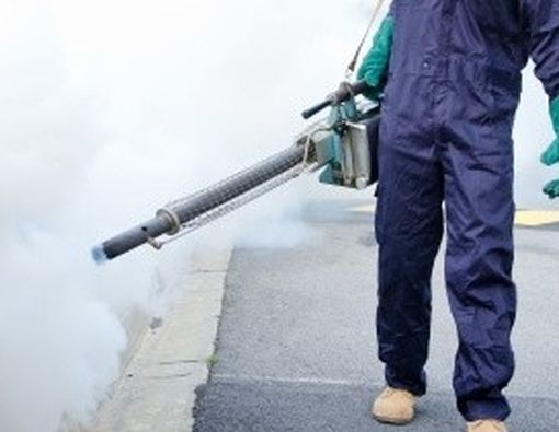 Fogging Kurang Berhasil Memberantas DBD