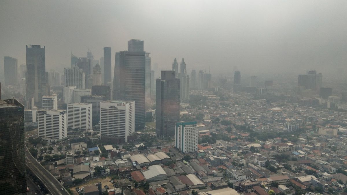 Polusi Udara Picu Kebotakan, Benarkah?