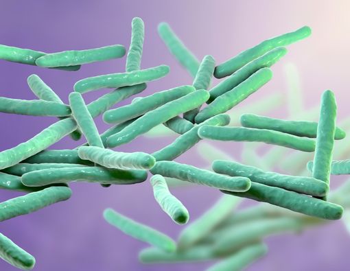 Mengungkap Mitos dan Fakta Seputar Penyakit Kusta