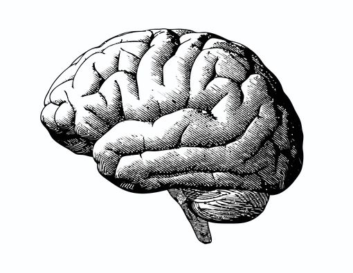 Risiko Alzheimer juga Dipengaruhi Golongan Darah?