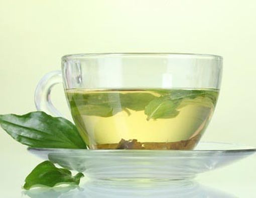 Inilah Makanan-Makanan Penangkal Lemak