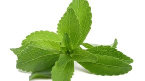 9 Manfaat Daun Stevia untuk Kesehatan Tubuh