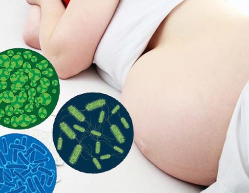 8 Kuman yang Berbahaya Bagi Ibu Hamil dan Janin