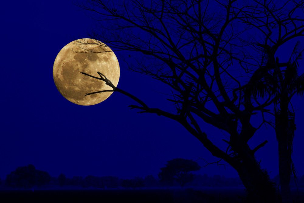 Fakta di Balik Mitos Kesehatan Terkait Supermoon