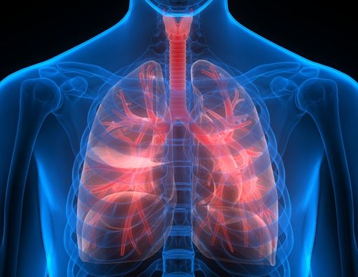 Penyakit Paru Obstruktif Kronis