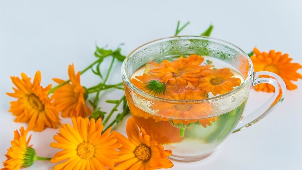 Manfaat Calendula untuk kesehatan kulit Anda