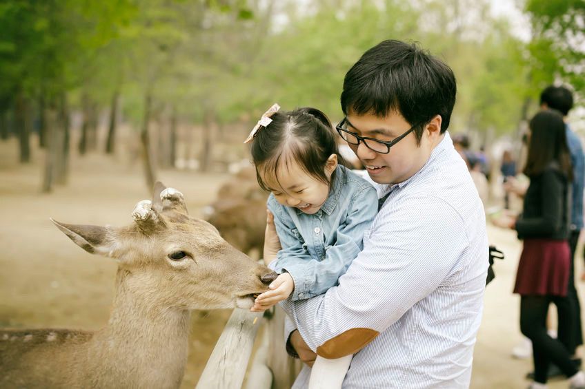 Bolehkah Anak Alergi Pergi ke Kebun Binatang?