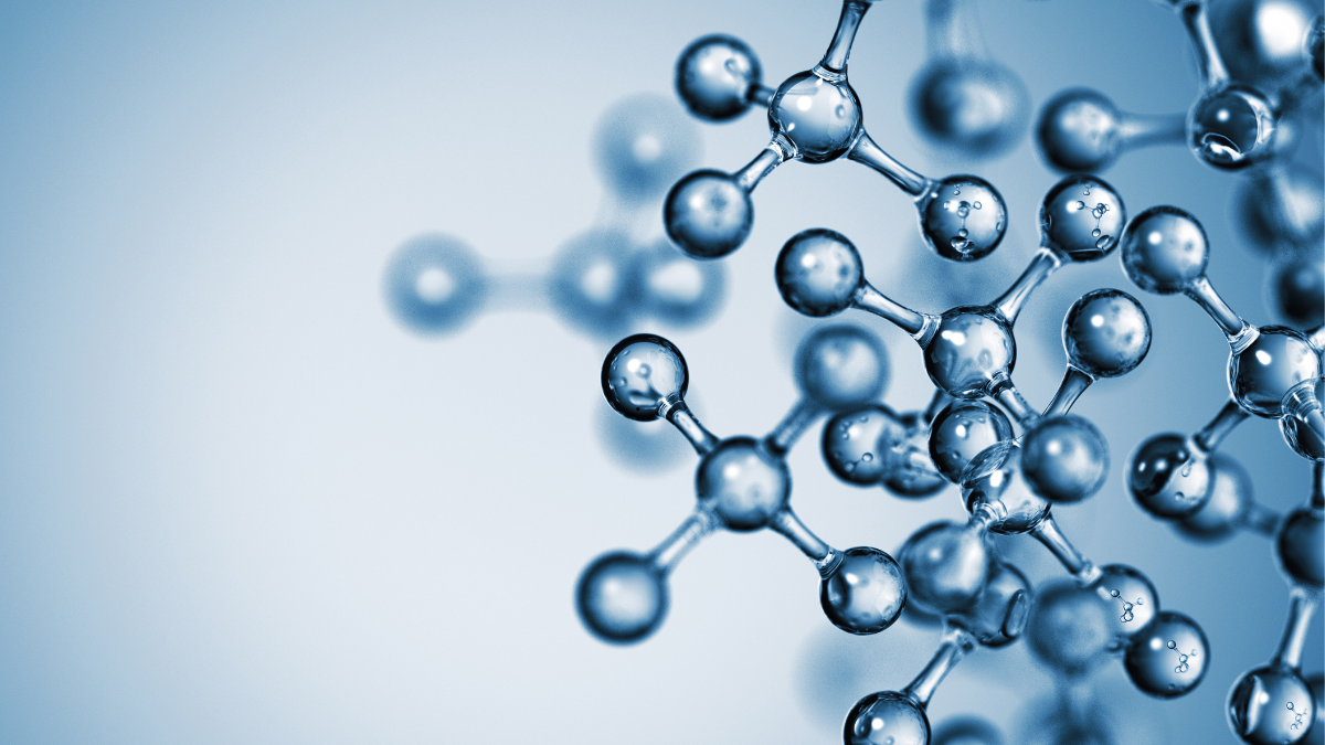 Fungsi Mitokondria dari Pengertian, Peran, dan Pentingnya bagi Sel