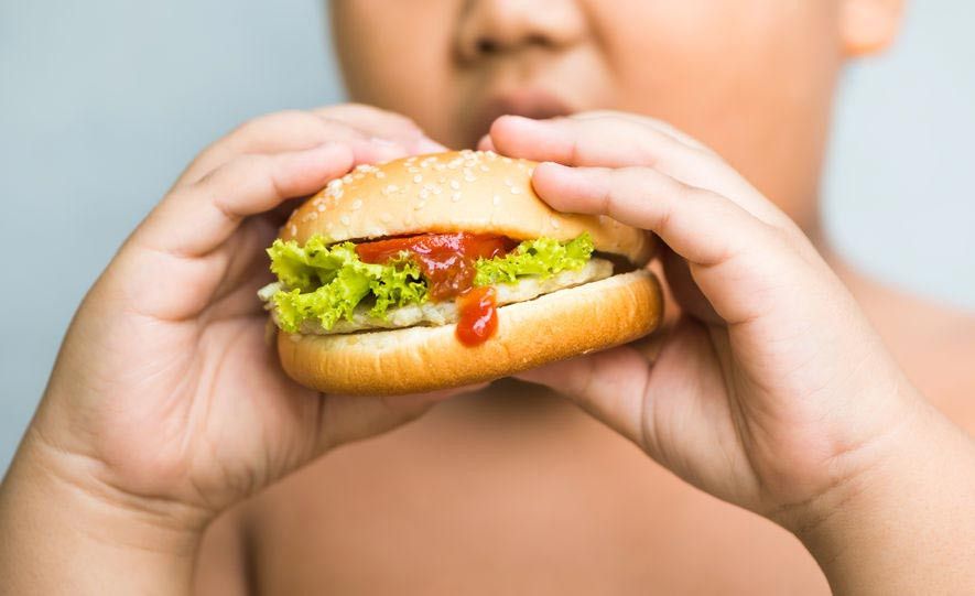 Dampak Buruk Makanan Berlemak bagi Kesehatan Otak dan Tubuh