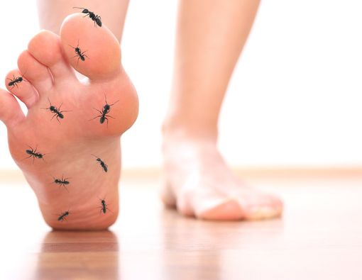 Sering Kesemutan, Tanda Kolesterol Tinggi?