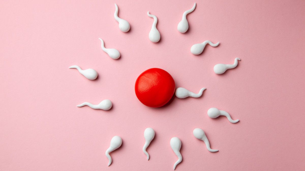 Apakah Wanita yang Alergi Sperma Tetap Bisa Hamil?
