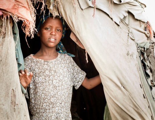 Relawan ACT Sudah Dievakuasi