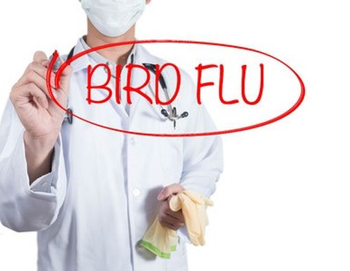 Lindungi Diri Anda dari Flu Burung dengan Cara Ini