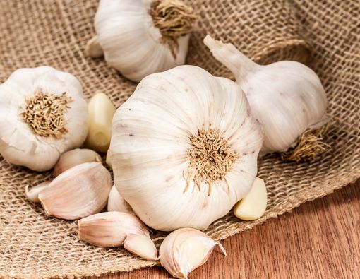 Bawang Putih Bisa Atasi Bisul, Mitos atau Fakta?