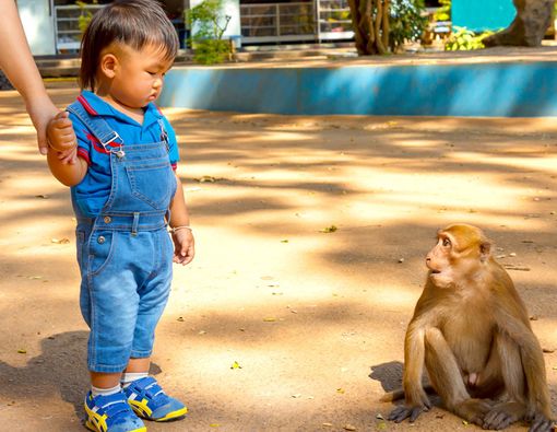 Tips agar si Kecil Terhindar dari Cacar Monyet