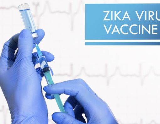 Bagaimana Perkembangan Vaksin Virus Zika?
