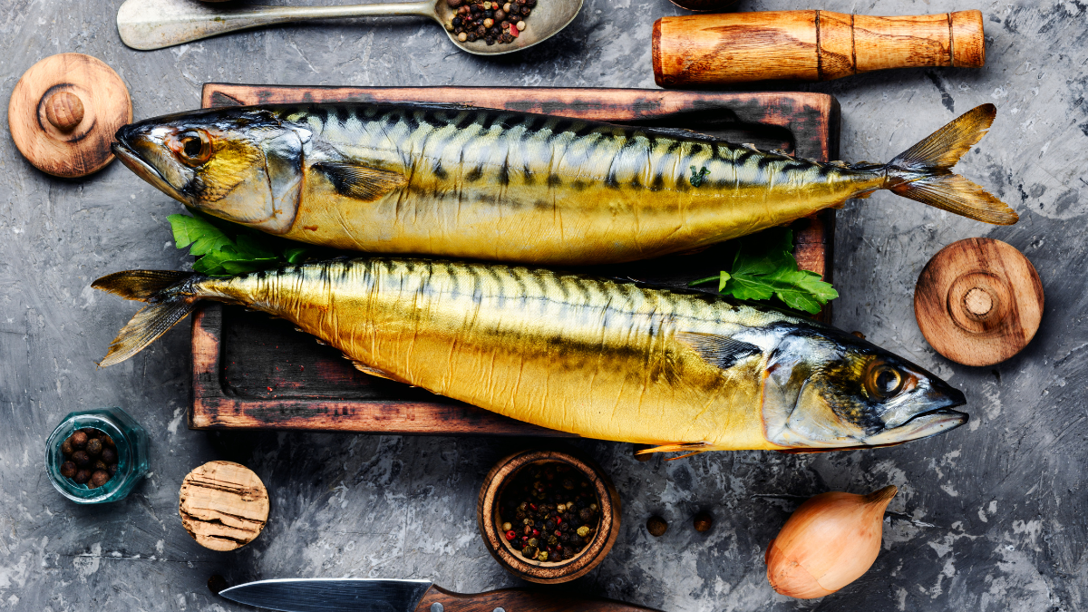 Kandungan Gizi Ikan Kembung