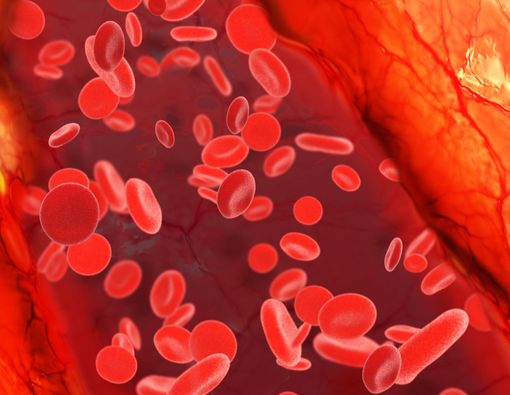 Awas, Jangan Sampai Kolesterol Naik Saat Lebaran!