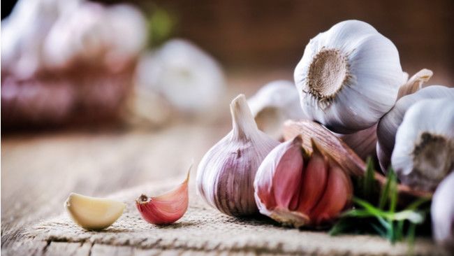 Dapatkan 6 Manfaat Sehat Bawang Putih Meski Harga Melambung