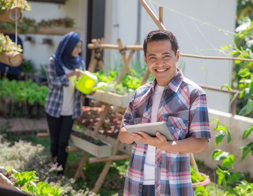 Urban Farming dan Manfaatnya bagi Kesehatan