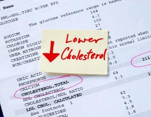 Sterol dan Stanol, Si Penurun Kolesterol 