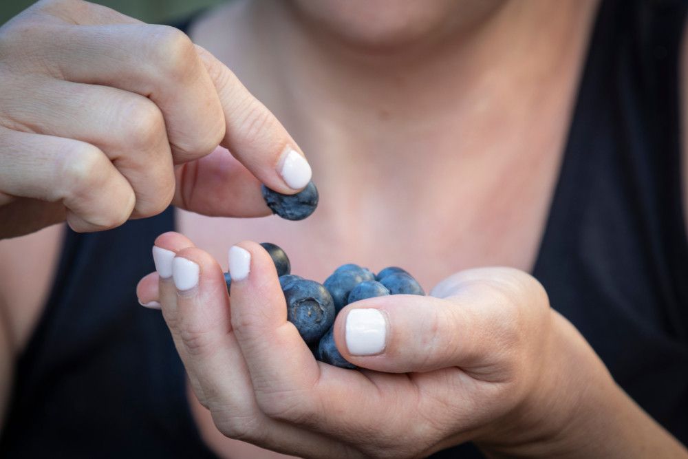 Segudang Manfaat Buah Blueberry untuk Ibu Hamil