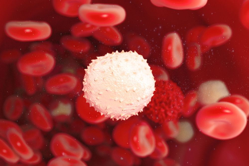 Antisipasi Leukemia dengan Mengenali Penyebabnya