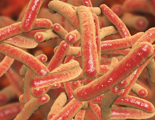 Kiat Cegah Tuberkulosis Kelenjar, Penyakit Berbahaya dan Mematikan