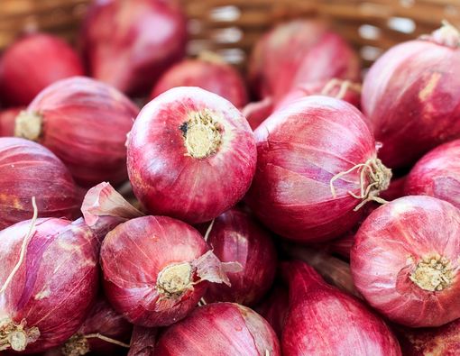 Mengenal Manfaat Lokio atau Lengkio (Bawang Batak) untuk Kesehatan