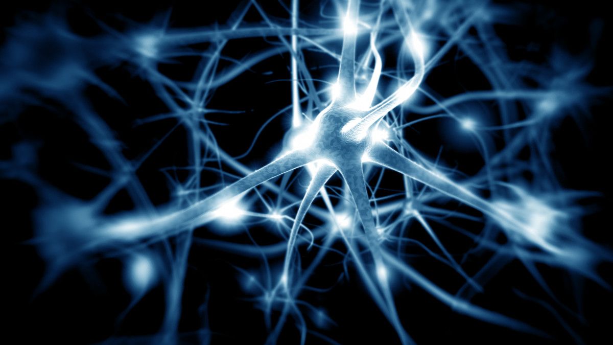 Ilustrasi Sistem Saraf