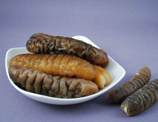 Sederet Manfaat Teripang untuk Kesehatan Tubuh