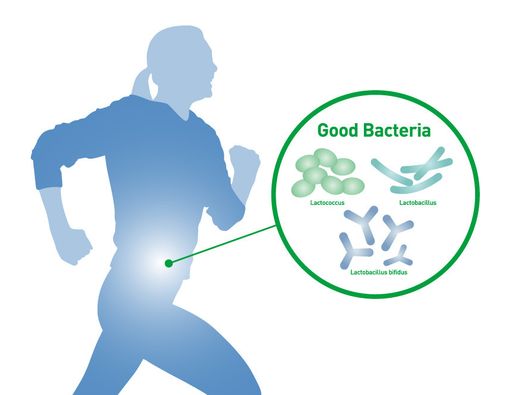 Sepuluh Bakteri Baik yang Menguntungkan bagi Manusia