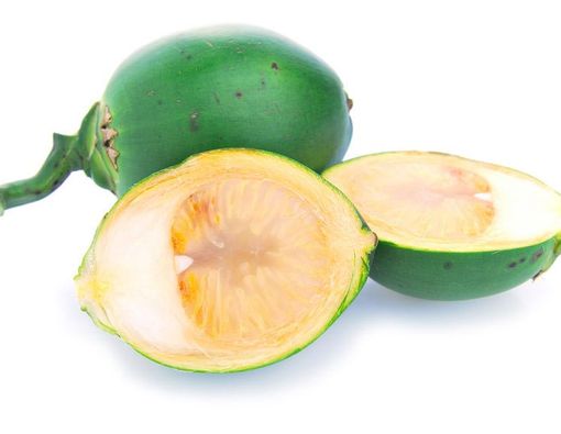 10 Khasiat dan Manfaat Buah Pinang untuk Kesehatan
