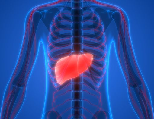 Kolesterol Tinggi Juga Sebabkan Fatty Liver