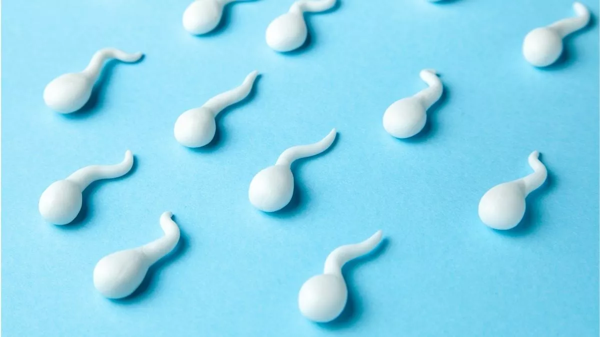 Benarkah Virus Corona Bisa Turunkan Kualitas Sperma?