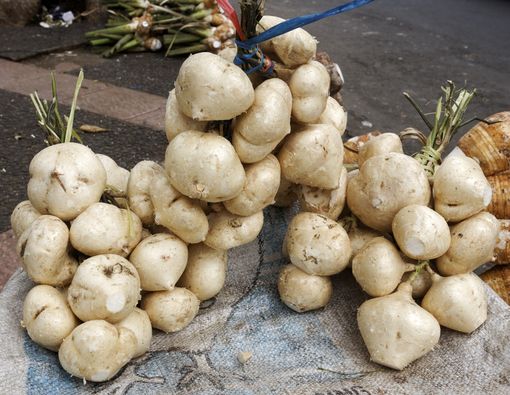 Bengkoang Juga Bermanfaat untuk Diet Anda