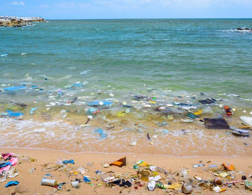 Pentingnya Menjaga Kebersihan Laut