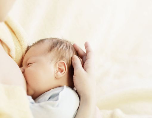 6 Fakta Mengejutkan tentang ASI