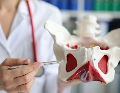  Apa Fungsi Tulang Panggul Manusia? Yuk Kenali Anatominya!