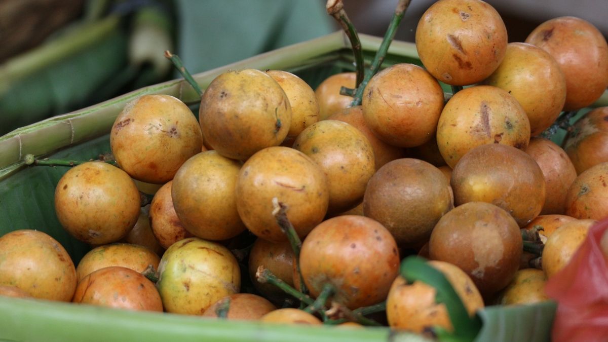Mengenal Buah Menteng dari Manfaat, Gizi dan Cara Mengolah