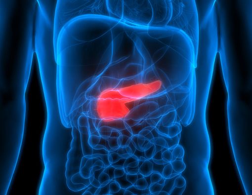 Ketahui Faktor Risiko Kanker Pankreas yang Dialami Karl Lagerfeld