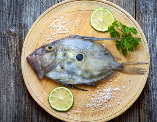 Intip Kandungan Gizi dalam Ikan Dori