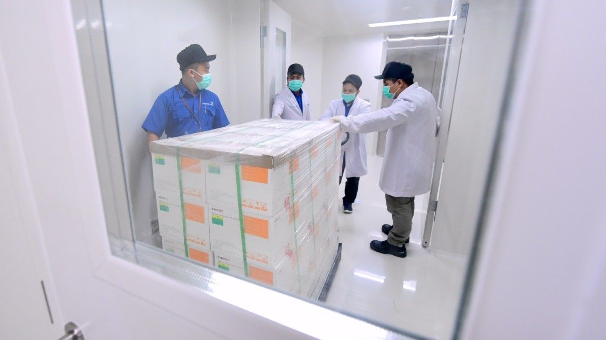 Tiba di Indonesia, Bagaimana Efektivitas Vaksin Sinovac?