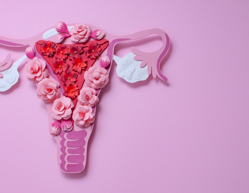 Cara Penularan Kanker Serviks